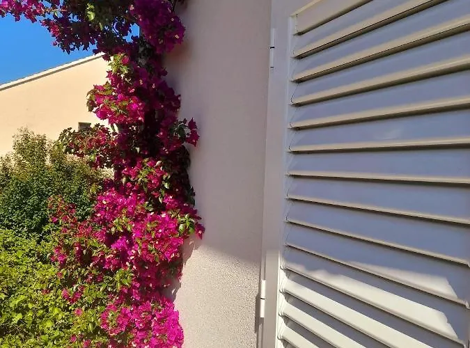 Διαμέρισμα Goran